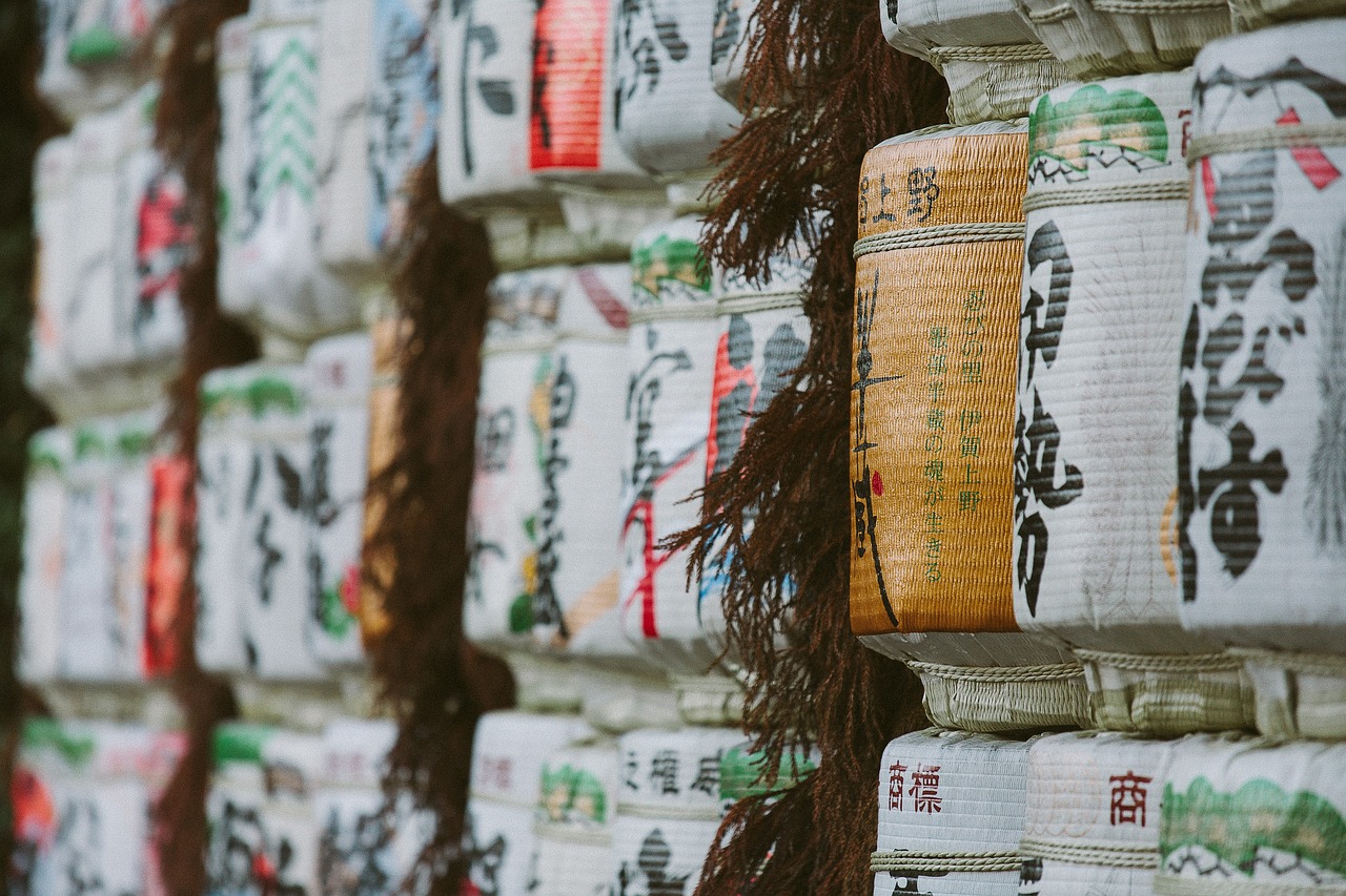 访客